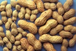 peanut for sale