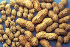 peanut for sale