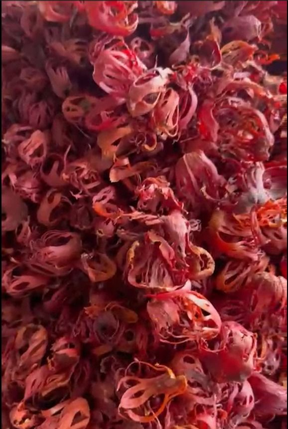 Buy Cardomom, Colves And Pepper from Hamediya General Trading, United ...
