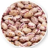 Red Speckled Sugar Beans