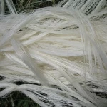 natural sisal fiber in perfect quality for sisal cloth for sale