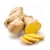 Import Bulk Stock Available Of fresh organic natural ginger / new crop fresh ginger At Wholesale Prices from USA