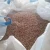 Import Wood pellets from Russia