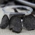 Import Black Truffle Fresh Black Truffle for Wholesale from China