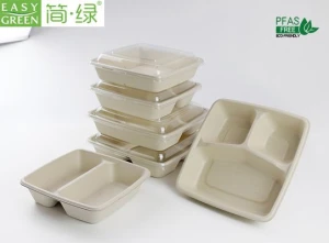 BIODEGRADABLE FOOD CONTAINER