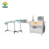 Hot Sell Automatic Carton Case Feeding Packing Machine