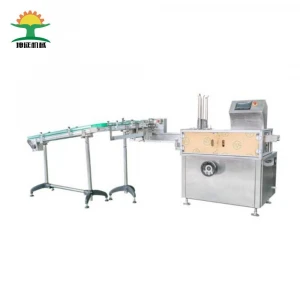 Hot Sell Automatic Carton Case Feeding Packing Machine