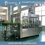 Carbonated Soft Drink Filling Machine DXGF24248