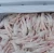Import Frozen Chicken Feet | Brazil Chicken Feet | Halal Chicken from USA
