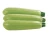 Import Savor the Freshness: Premium Moroccan Zucchinis Direct from Our Farm to Your Table from Morocco