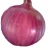 Import fresh red onion from United Kingdom
