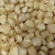 Import Yellow Corn and White Corn/ Yellow Maize from Germany