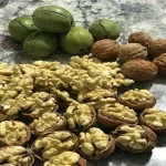 Walnut Kernels