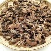 Heilongjiang Daxinganling hazel mushroom
