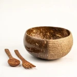 Coconut Bowl