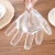 Import Daily Use Custom PE Food Disposable Hand Plastic Gloves Transparent Disposable Gloves from Vietnam