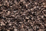 Palm kernel shells