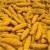 Import Turmeric Fingers from India