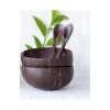 Coconut Shell Bowl For Decoration Home