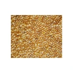 Bulk yellow millet available for wholesale purchase by food and feed manufacturers
