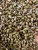 Import Grade-A Cassia Tora Seeds from Nigeria