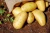 Import we offer fresh potato from Denmark