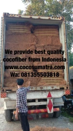 coco fiber