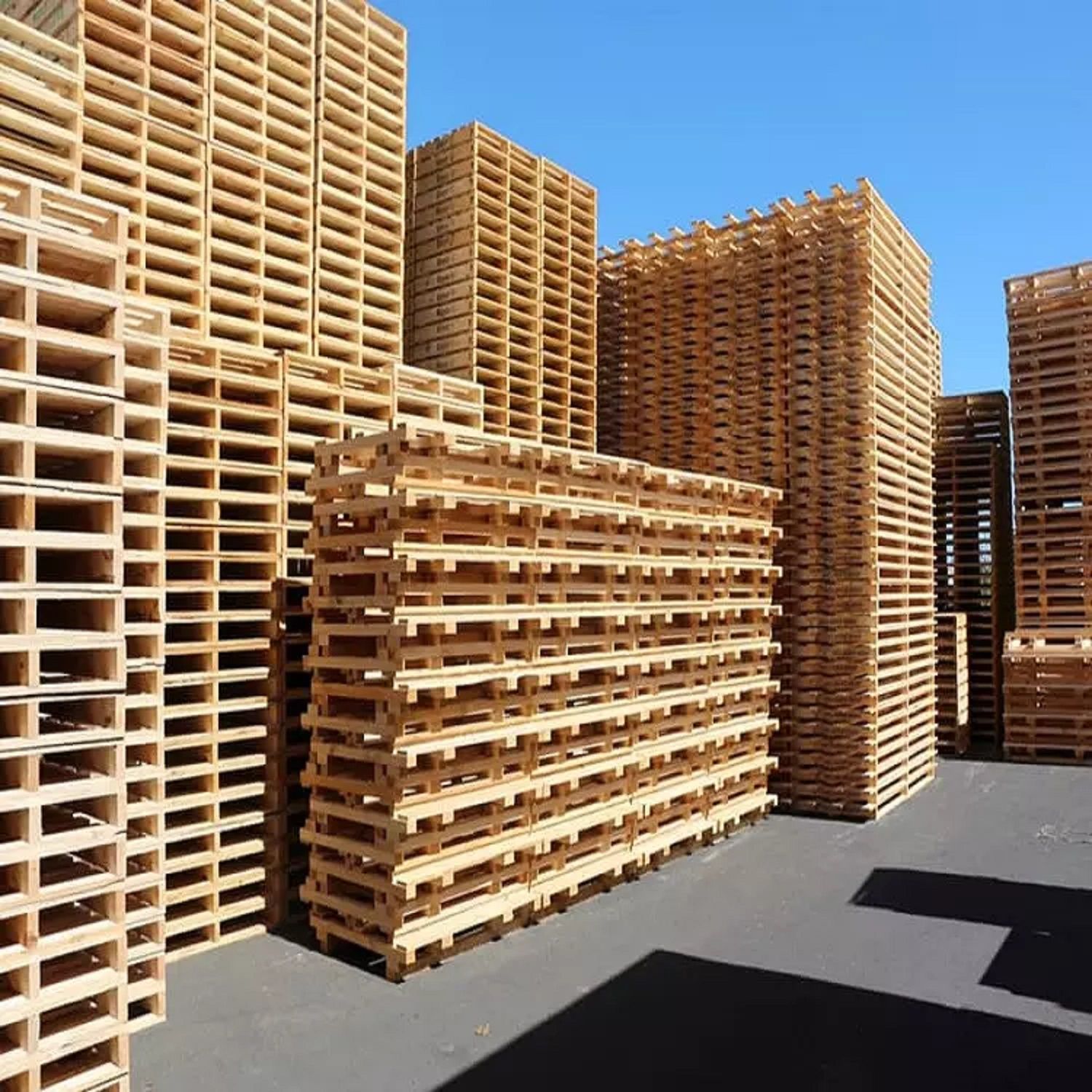 Buy Pallets from DOX GMBH, Germany