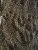 Import Grade-A Cassia Tora Seeds from Nigeria