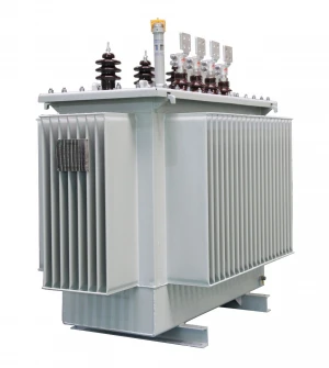 Power Supply 6.6kv, 11kv 22kv 33kv to 0.4kv Oil-Immersed Transformer