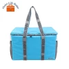 Insulation bag, cosmetic bag, travelling bag