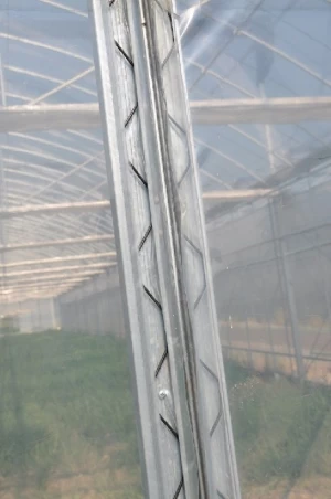 Greenhouse film wiggle wire for Aluminum lock channel  plastic wiggle wire galvanized lock channel
