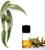 Import Eucalyptus oil from India