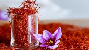 Saffron Flowers , Super Negin
