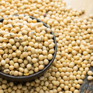 Premium Bulk Wholesale Soybean Seed Naturally Dried And Packed Fresh 99% Pure Soybean Seed For Sale