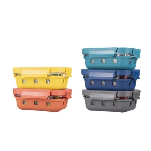 New design BPA free leakproof food storage glass bento lunch box food containers with glass lid