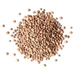 Best Quality Dried Brown Lentils in Bulk Packaging New Crops Lentil High Quality Organic Lentils in Bulk