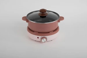 Multi-function pot