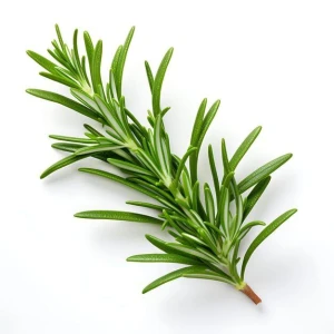 Export Quality Rosemary