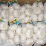 10kg mesh bag fresh garlic from Netherlands