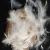 Import 2-4cm or 16 inch ostrich 80% white duck 20% feathers for sale from China