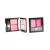 Import 2 color blush and conceal cosmetic makeup palette from China