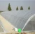 Import 200 micron greenhouse PE plastic film for agriculture from China
