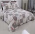 Import 2017 Newly Polyester Bedding Set King Bedspread Velvet Patchwork Quilt from China