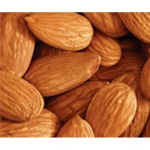 2018 Almond In Shell, Almond Nuts At Factory Price