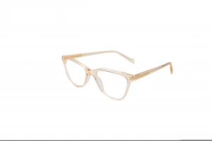 2021 Best selling simple classic translucent spectacle frame