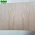 Import 2.5mm/3mm white ash fancy veneer plywood from China