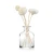 Import Clear Empty Aroma Diffuser Bottle Glass, Reed Diffuser Glass Bottle With Cork 250ml from China