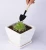 Import 3 Pcs Mini  Kids DIY Portable Gardening Tool  Shovel Rake Spade Plant Tool Set from China
