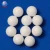 Import 3.175mm 7.938mm 10mm 8mm 12.7mm 3/4" POM PP PA PTFE hard plastic ball from China